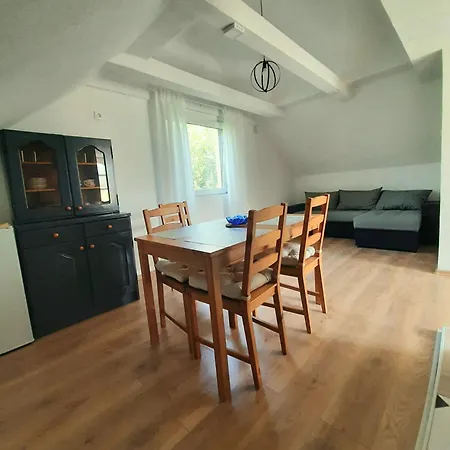 Apartament Savkovic *