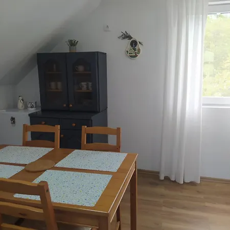 Savkovic Apartament *
