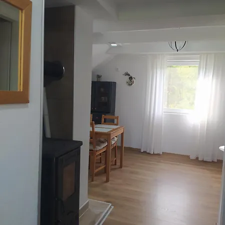 Apartament Savkovic *